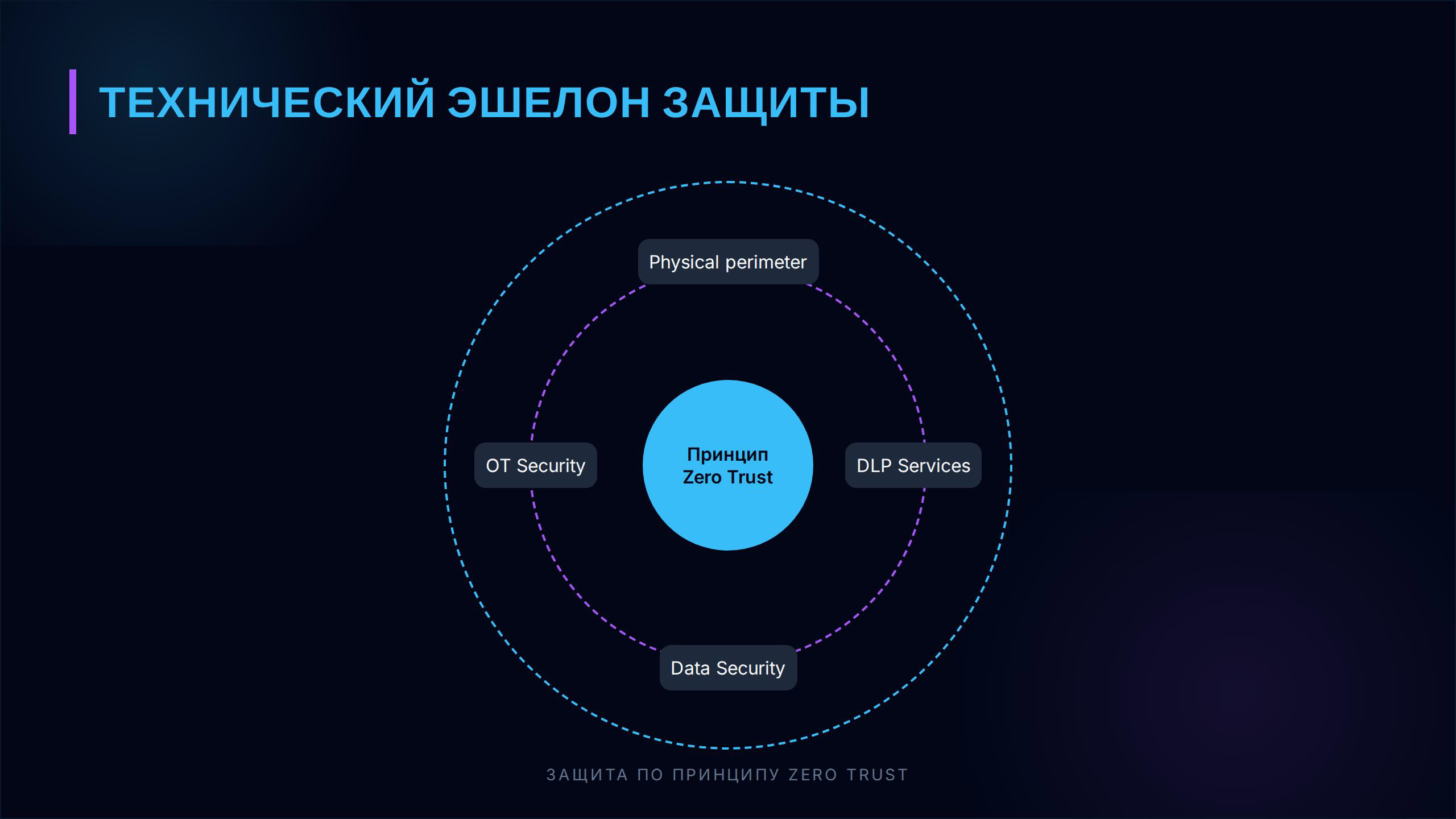 Slide 8